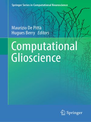 cover image of Computational Glioscience